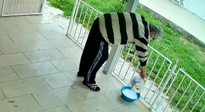 Kediye önce keser attı, sonra zehirlemeye çalıştı