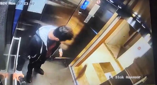 Kediyi tekmeleyerek öldüren sanık yeniden yargılanacak