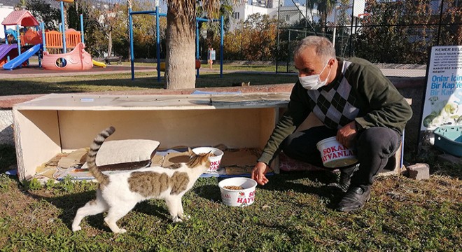 Kemer Belediyesi, hayvanlara sahip çıkıyor
