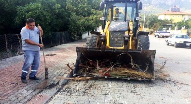Kemer Belediyesi'nden sonbahar temizliği