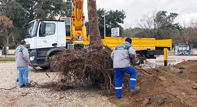 Kemer Belediyesi'nden yeşil alan çalışmaları