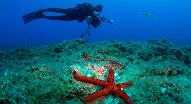 Kemer Sualtı Günleri online yapılacak