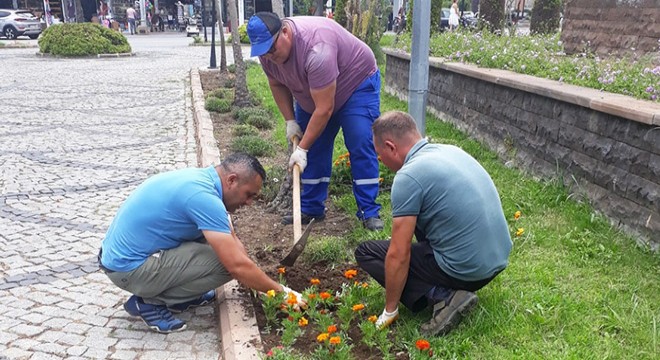 Kemer'de çevre düzenleme çalışması