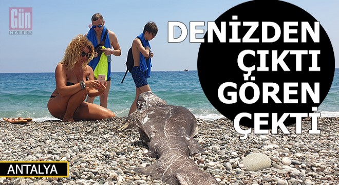Kemer'de denizden çıktı gören fotoğrafını çekti