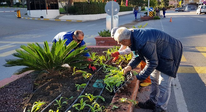 Kemer'de kış hazırlıkları