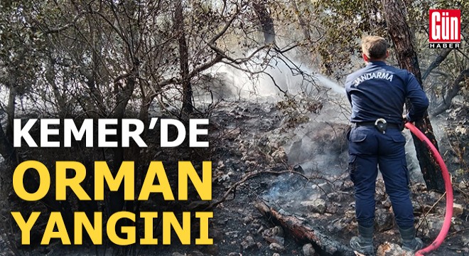 Kemer'de orman yangını