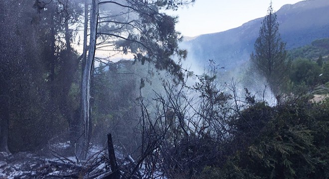 Kemer'de orman yangını büyümeden söndürüldü