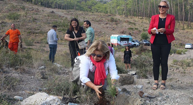 Kemer'de yapılan organ bağışı kadar fidan dikildi