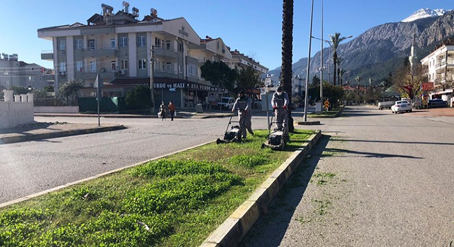 Kemer 'yeşile boyanıyor'