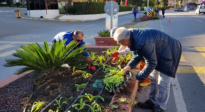 Kemer de kış hazırlıkları