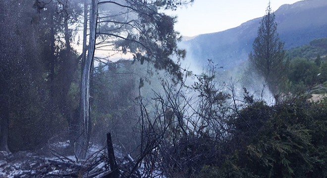 Kemer de orman yangını büyümeden söndürüldü