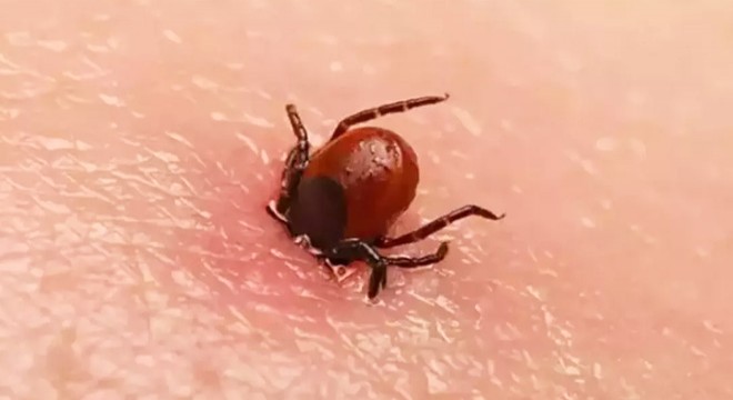 Kenenin ısırdığı 2 çocuk babası öldü