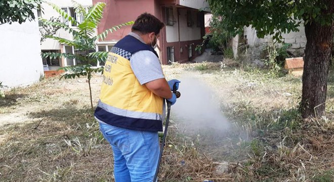 Keneye karşı tedbir amaçlı ilaçlama yapılıyor