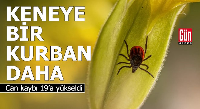 Keneye bir kurban daha
