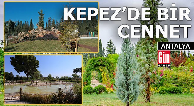 Kepez'de doğa ve sanat iç içe