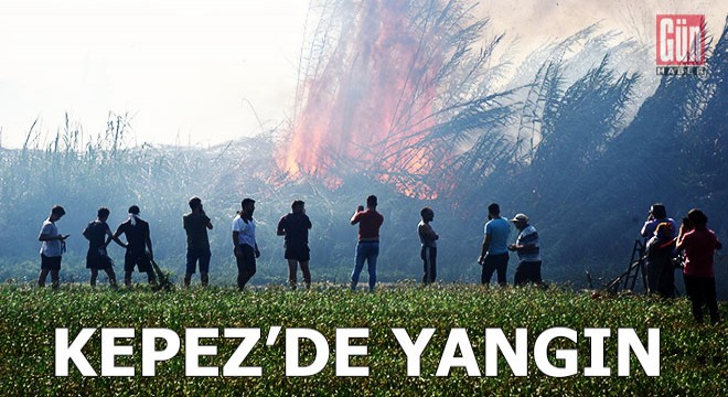 Kepez'de yangın