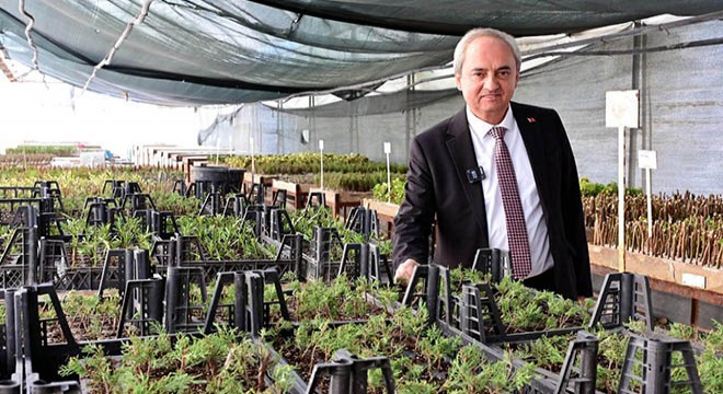 Kepez den kurakçıl peyzaj hamlesi