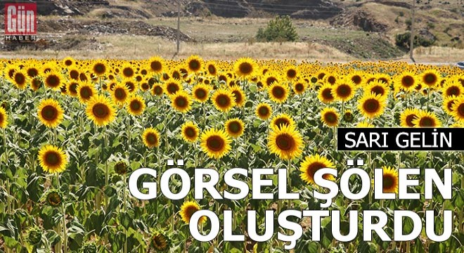 Keşan’da ayçiçeği tarlaları görsel şölen sunuyor