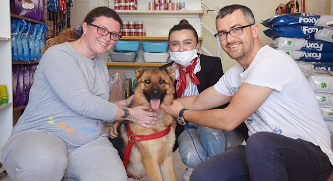 Kesici aletle işkence yapılan köpeği sahiplendi