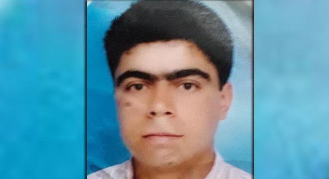 Kestane toplarken ağaçtan düştü, hastanede öldü