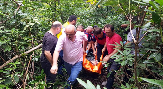 Kestane toplarken arı soktu, ekipler seferber oldu