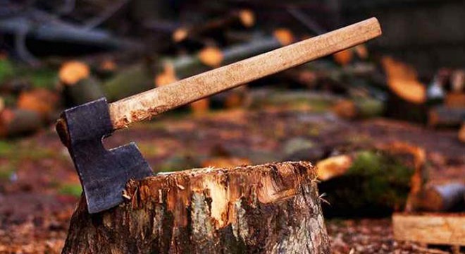 Kestiği ağacın üzerine devrilmesiyle öldü
