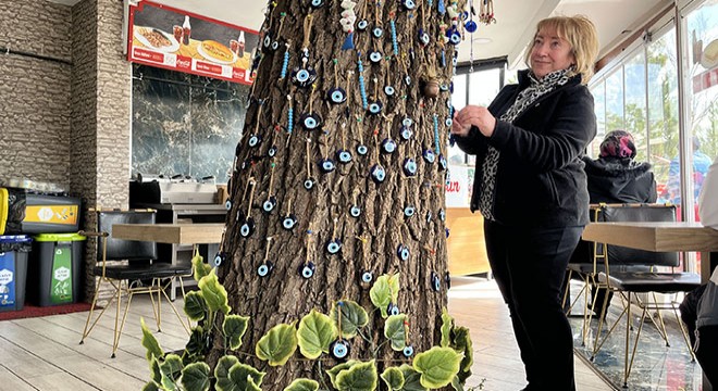 Kestirmeye kıyamadığı  ağaç  kafenin parçası oldu