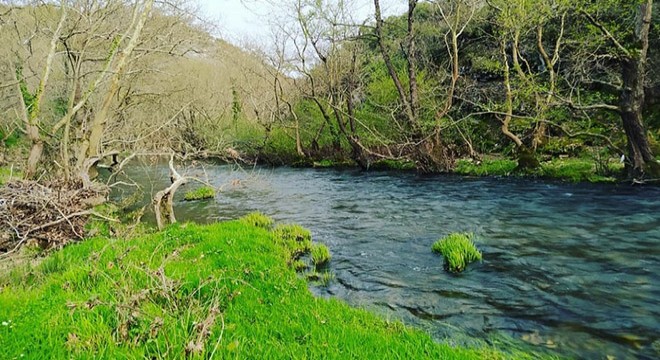 Ketenlik Deresi'nde kirlilik