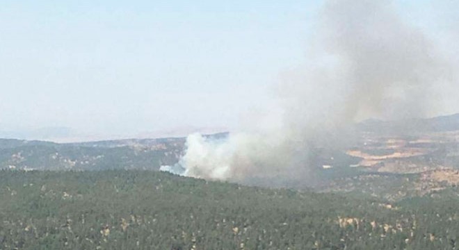 Kilis'te orman yangını