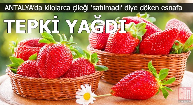 Kilolarca çileği 'satılmadı' diye döken esnafa tepki yağdı