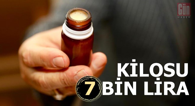 Kilosu 7 bin liraya satılıyor