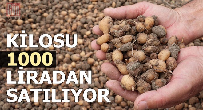 Kilosu 1000 liradan satılıyor