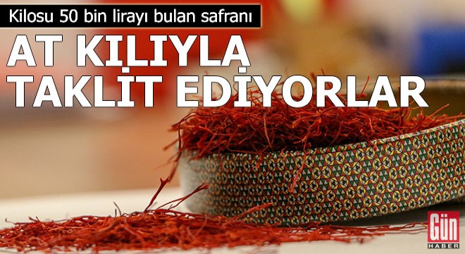 Kilosu 50 bin lirayı bulan safranı, at kılıyla taklit ediyorlar