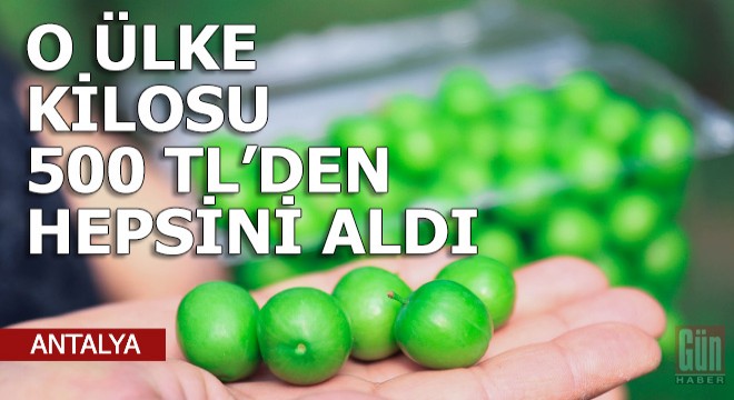 Kilosu 500 liradan o ülkeye satıldı