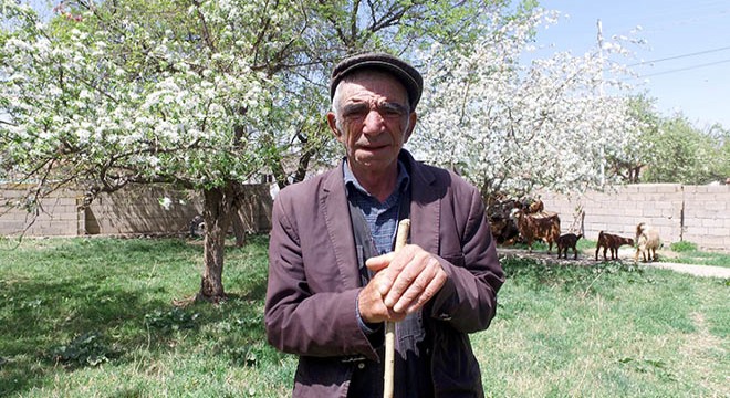 Kimliğini kaybetti, 14 yıldır başına gelmeyen kalmadı