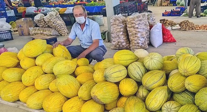 Kiraladığı tarladan 70 ton kavun bekliyor