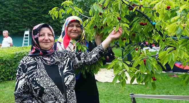 Kiraz Festivali coşkusu