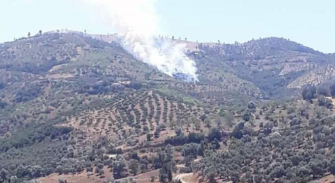 Kiraz'da orman yangını çıktı