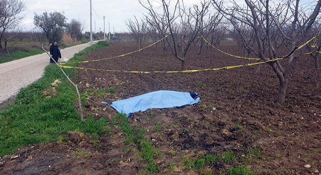 Kiraz bahçesinde başından vurulmuş olarak ölü bulundu