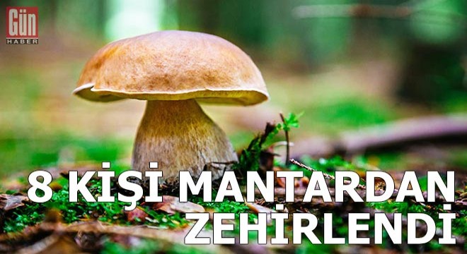 Kırıkkale'de 8 kişi mantardan zehirlendi