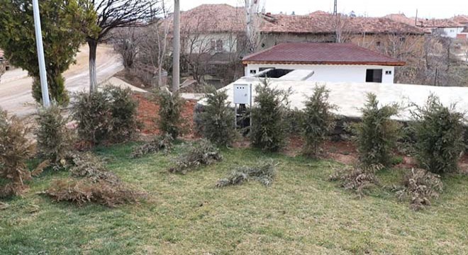 Kırıkkale'de parktaki 30 ağaç kesildi