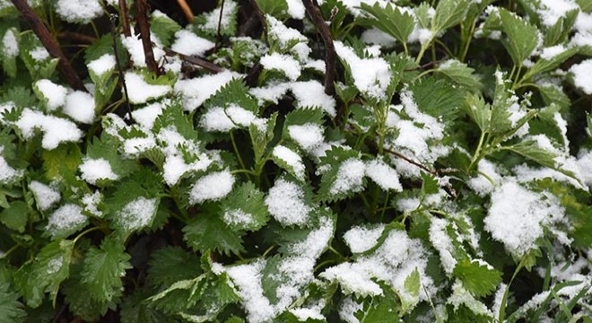 Kırklareli'nin Kofçaz ilçesinde kar yağışı