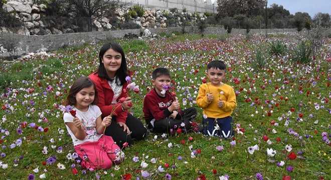 Kırlara bahar erken geldi