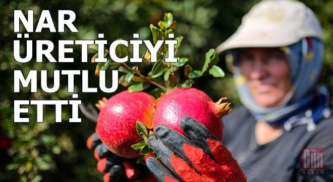 Kırmızı nar üreticiyi memnun etti