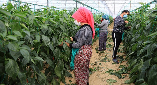 Kısıtlamada üretim hız kesmeden devam etti