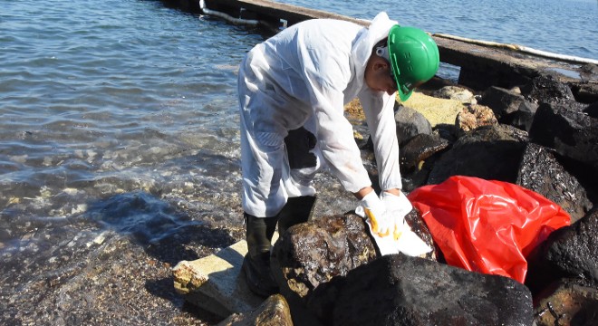 Kıyılara bulaşan petrol atığını 50 kişilik ekip temizliyor