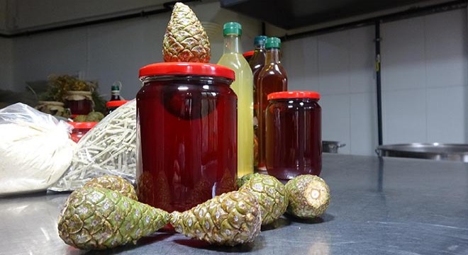 Kızına şifa olması için yaptığı kozalak reçeli, gelir kapısı oldu