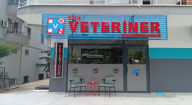 Kocaeli'nde Veteriner Hekim Desteği Nedir?