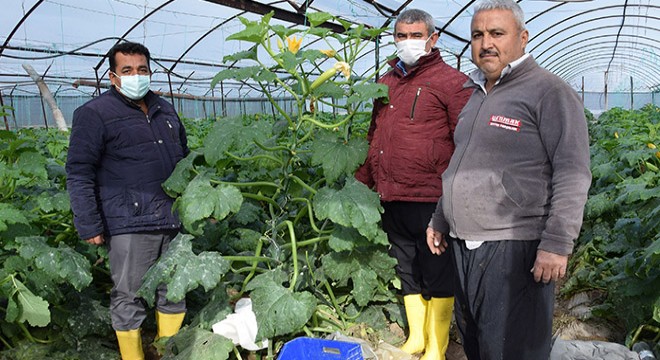 Kökce den zarar gören üreticilere ziyaret