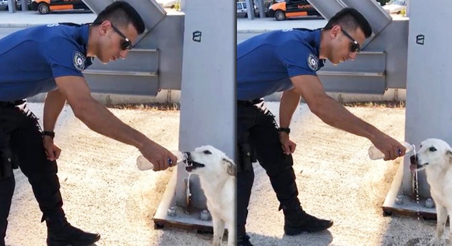 Komiser, suyunu sokak köpeğiyle paylaştı